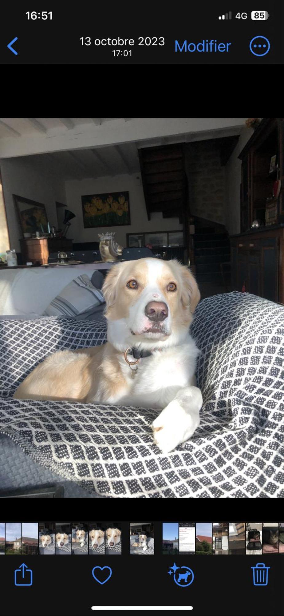 Cookie Home Dolomieu Bagian luar foto