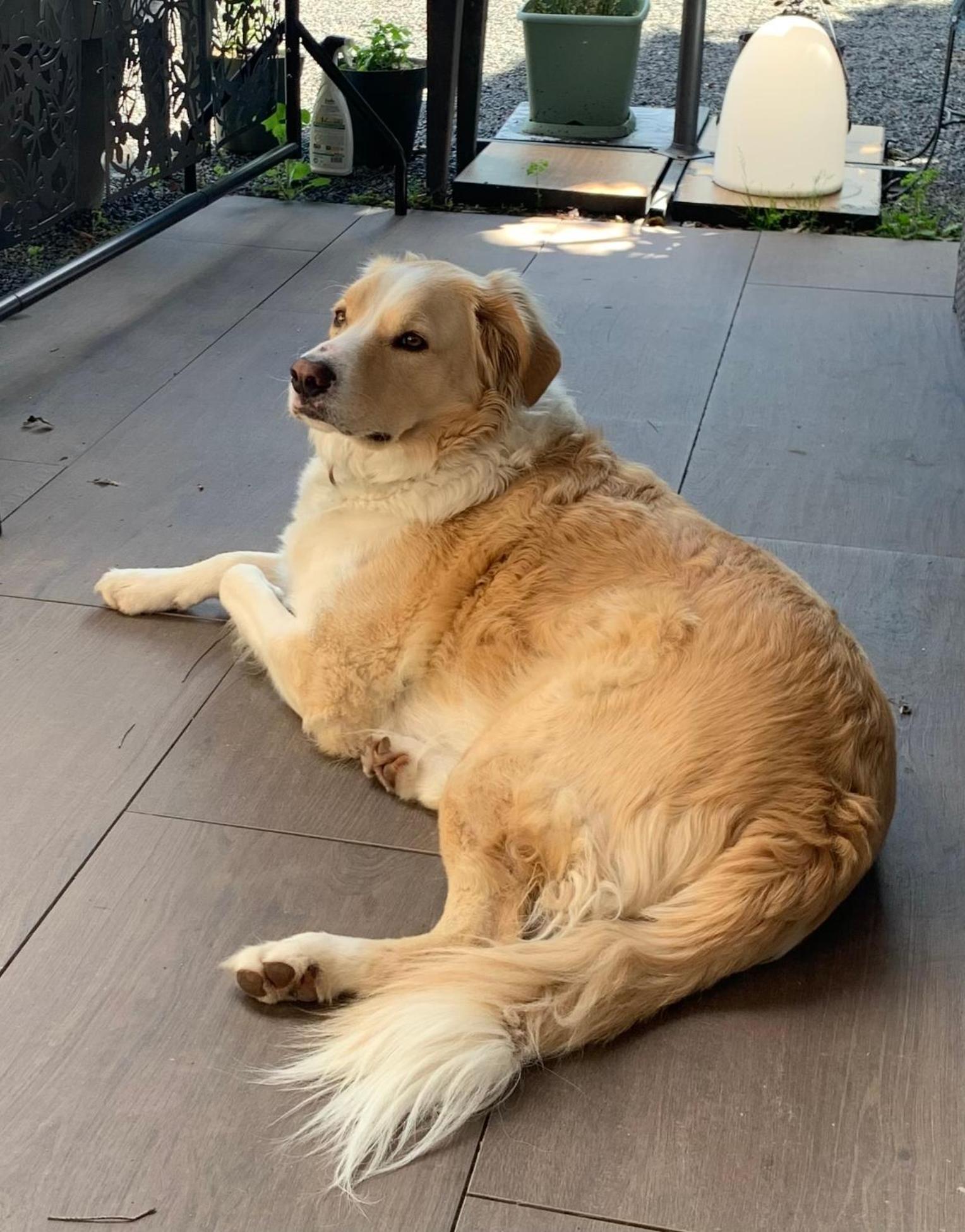 Cookie Home Dolomieu Bagian luar foto