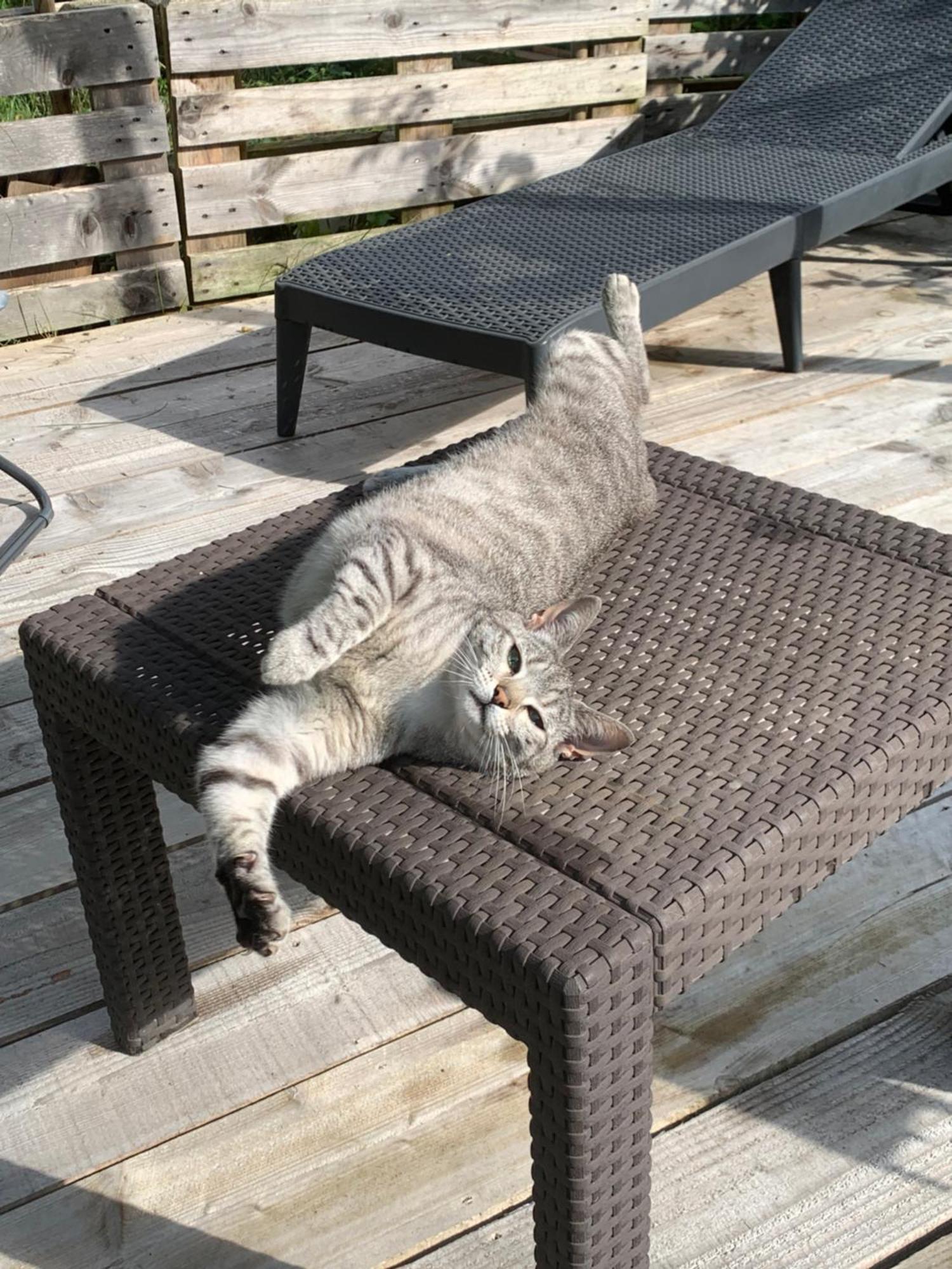 Cookie Home Dolomieu Bagian luar foto