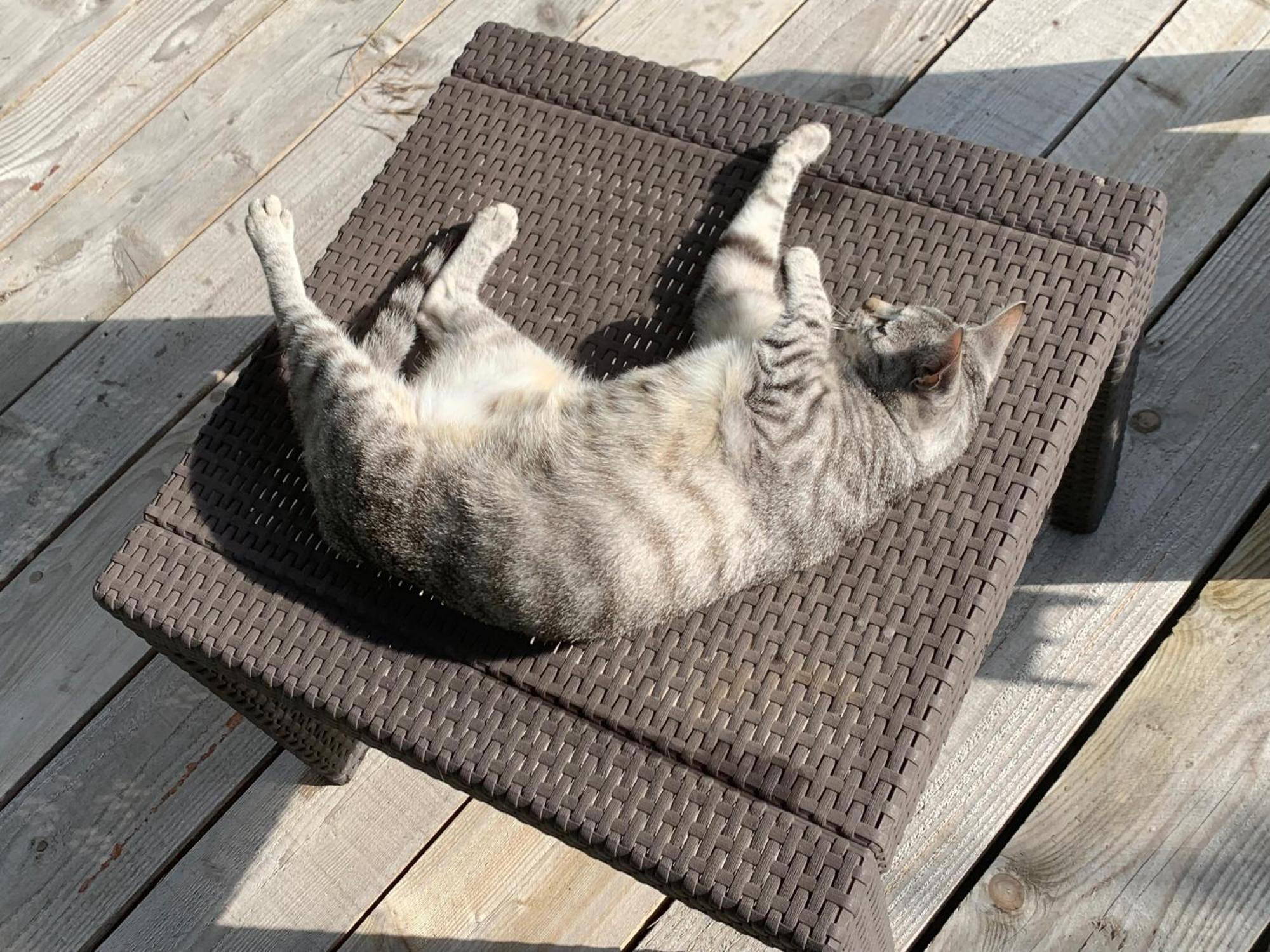 Cookie Home Dolomieu Bagian luar foto